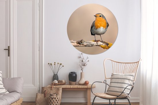 WallCircle - Cercle Mural - Cercle Mural - Rouge-gorge - Vogel - Animaux - Animaux - Aluminium - Dibond - 140x140 cm - Intérieur et Extérieur
