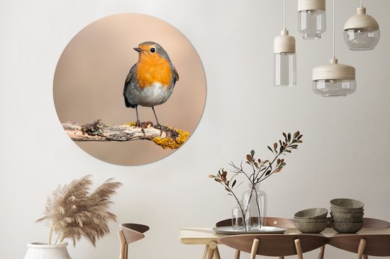 WallCircle - Cercle Mural - Cercle Mural - Rouge-gorge - Vogel - Animaux - Animaux - Aluminium - Dibond - 140x140 cm - Intérieur et Extérieur
