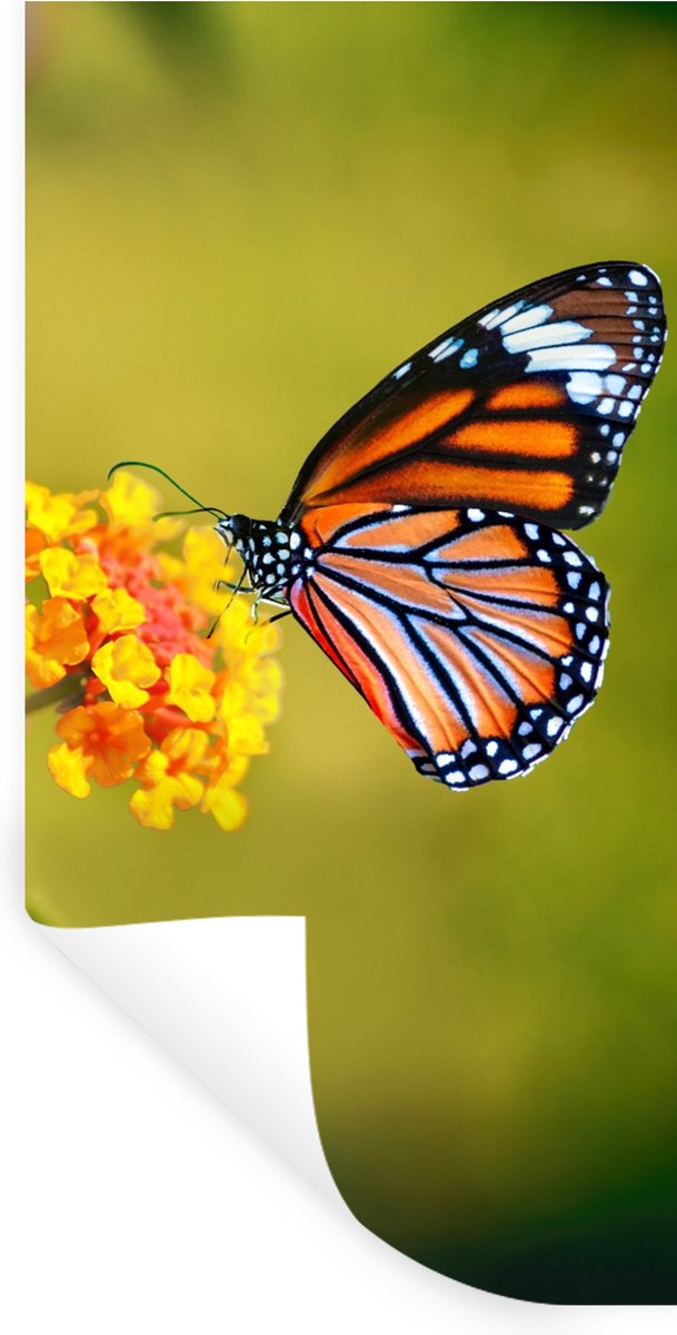 Muurstickers - Sticker Folie - Vlinder - Insecten - Bloemen - Geel - 60x120 cm - Plakfolie