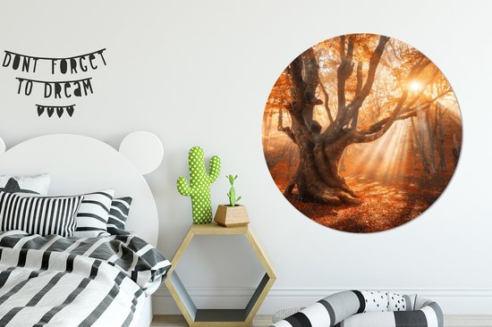 WallCircle - Stickers muraux - Cercle de papier peint - Arbre - Nature - Automne - ⌀ 120 cm - Cercle mural - Autocollant - Sticker papier peint rond XXL