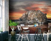 REINDERS Luipaard - Fotobehang - 368x254cm