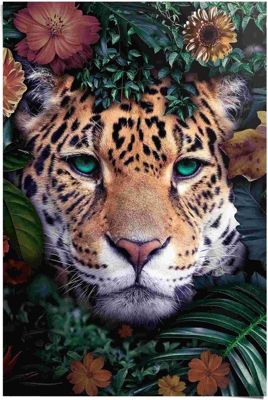 Poster Dieren Jungle luipaard 91,5x61 cm | bol