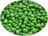 Dibond Ovaal - Doos Gevuld met Groene Erwten - 80x60 cm Foto op Ovaal (Met Ophangsysteem)