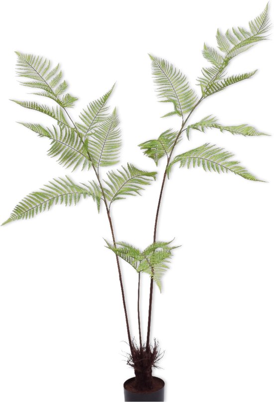Silk-ka Kunstplant voor Binnen Varen Groen 145 cm