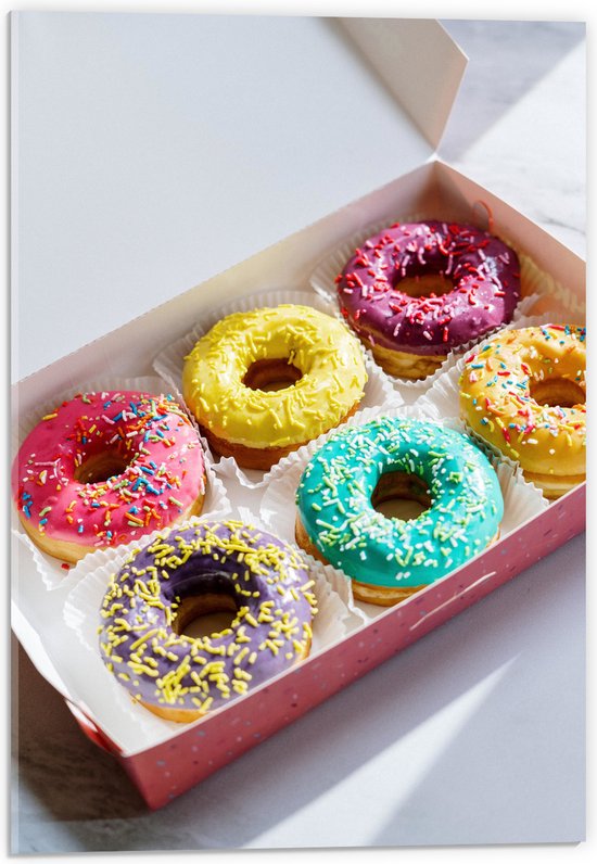 Acrylglas - Gekleurde Donuts met Spikkels in Roze Doos - 40x60 cm Foto op Acrylglas (Met Ophangsysteem)