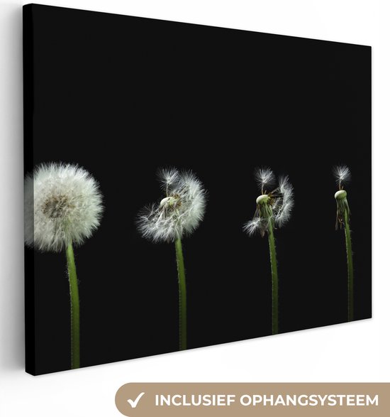 Canvas Schilderij Paardenbloem - Planten - Bloemen - Donker - Stilleven - 80x60 cm - Wanddecoratie