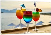 Tuinposter – Kleurrijke Cocktails met Uitzicht op Zee - 150x100 cm Foto op Tuinposter (wanddecoratie voor buiten en binnen)