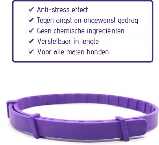 Traktat tildeling volleyball Halsband Kat - Stress Halsband - Kalmerende Halsband - Feromonen Voor Katten  - Tegen... | bol.com
