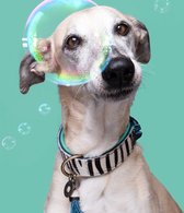 DWAM Dog with a Mission Halsband hond – Hondenhalsband – Dierenprint Blauw – XS – Leer – Halsomvang tussen 23-29 x 2 cm – Zara