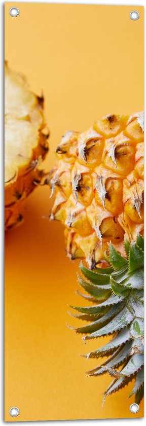 Tuinposter – Ananas in Tweeën met Gele Achtergrond - 30x90 cm Foto op Tuinposter (wanddecoratie voor buiten en binnen)