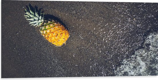 Dibond - Ananas op het Strand met Zee - 100x50 cm Foto op Aluminium (Met Ophangsysteem)