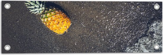 Tuinposter – Ananas op het Strand met Zee - 60x20 cm Foto op Tuinposter (wanddecoratie voor buiten en binnen)