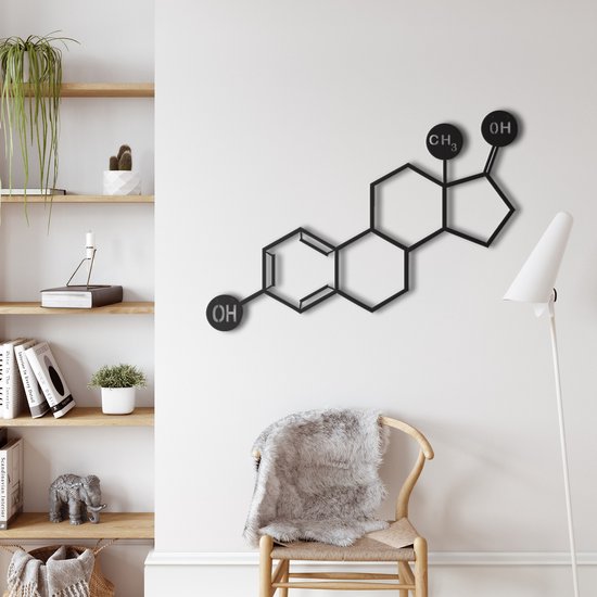 Wanddecoratie | Oestrogeen Molecuul / Estrogen Molecule| Metal - Wall Art | Muurdecoratie | Woonkamer | Buiten Decor |Zwart| 45x32cm