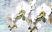 Fotobehang - Vlies Behang - Witte Orchideeën - Bloemen - 208 x 146 cm