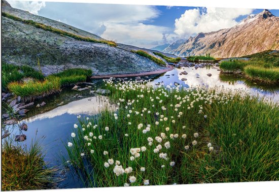 Dibond - Bergen - Water - Planten - Bloemen - Wolken - 150x100 cm Foto op Aluminium (Wanddecoratie van metaal)