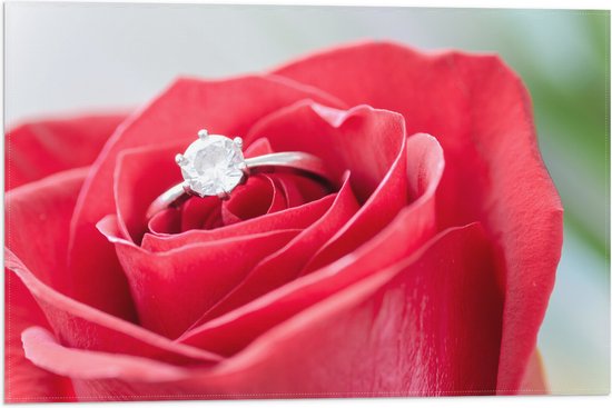 Vlag - Bloem - Roos - Ring - Diamant - Rood - 60x40 cm Foto op Polyester Vlag