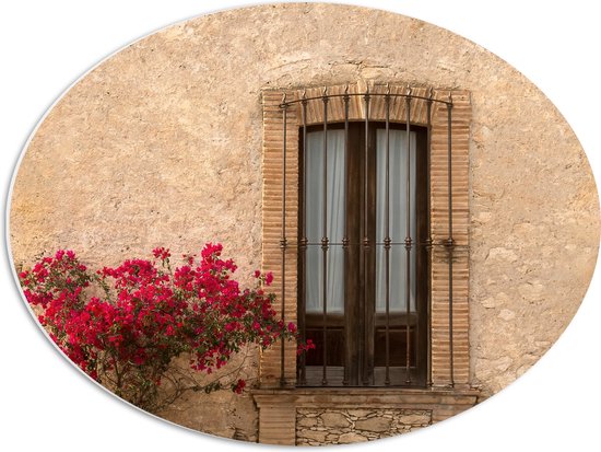 PVC Schuimplaat Ovaal - Rode Bloemenstruik bij Deur van Traditioneel Italiaans Huis - 56x42 cm Foto op Ovaal (Met Ophangsysteem)