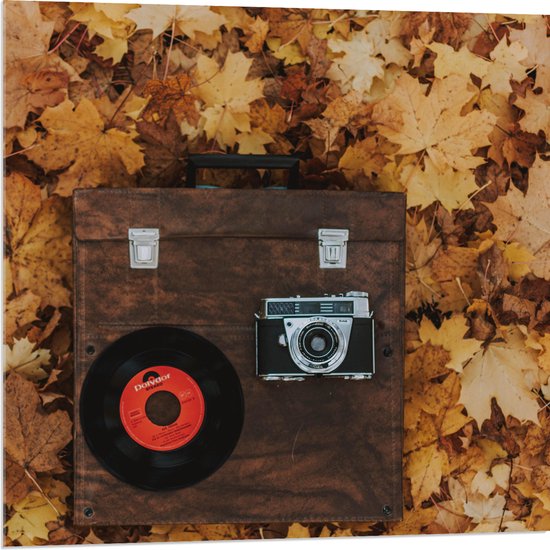 Acrylglas - Muziekplaat en Vintage Camera op Koffer tussen de Herfstbladeren - 80x80 cm Foto op Acrylglas (Met Ophangsysteem)