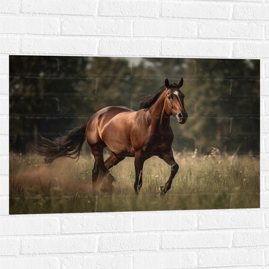 Muursticker - Bruin Paard met Witte Bles Lopend door Weiland met Hoog Gras - 90x60 cm Foto op Muursticker