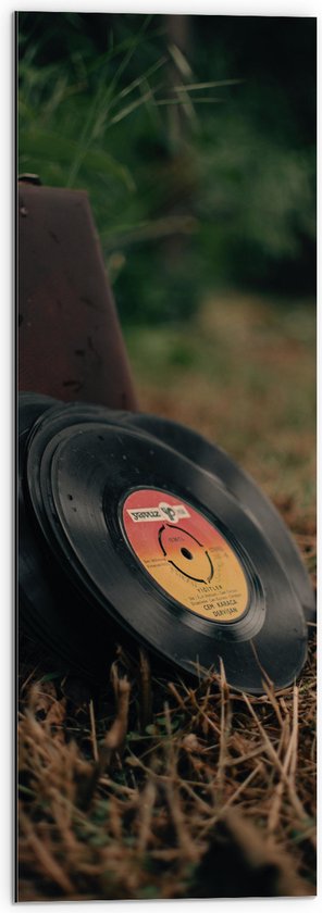 Dibond - Muziekplaten tegen Vintage Koffer in Landschap - 30x90 cm Foto op Aluminium (Met Ophangsysteem)
