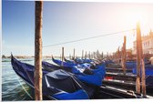PVC Schuimplaat- Blauwe Gondels op de Zee bij Venetië op Zonnige Dag - 90x60 cm Foto op PVC Schuimplaat