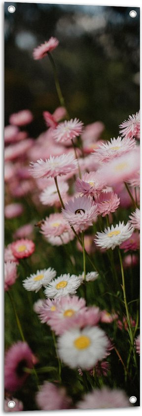 Tuinposter – Bloemen - Bomen - Bossen - Roze - 40x120 cm Foto op Tuinposter (wanddecoratie voor buiten en binnen)