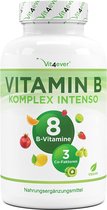Vitamine B-complex - Vit4ever - 240 capsules (6 maanden) - Premium: Met bio-actieve vitamine B-vormen + co-factoren - Tot 10 keer hogere dosering dan andere vitamine B-complexen - Veganistisch
