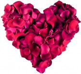 CHPN - Rozenblaadjes - 500 stuks - Bordeaux rood - Rozenblad - Huwelijk - Valentijnsdag - Rode rozen - Rozen blaadjes - Romantiek