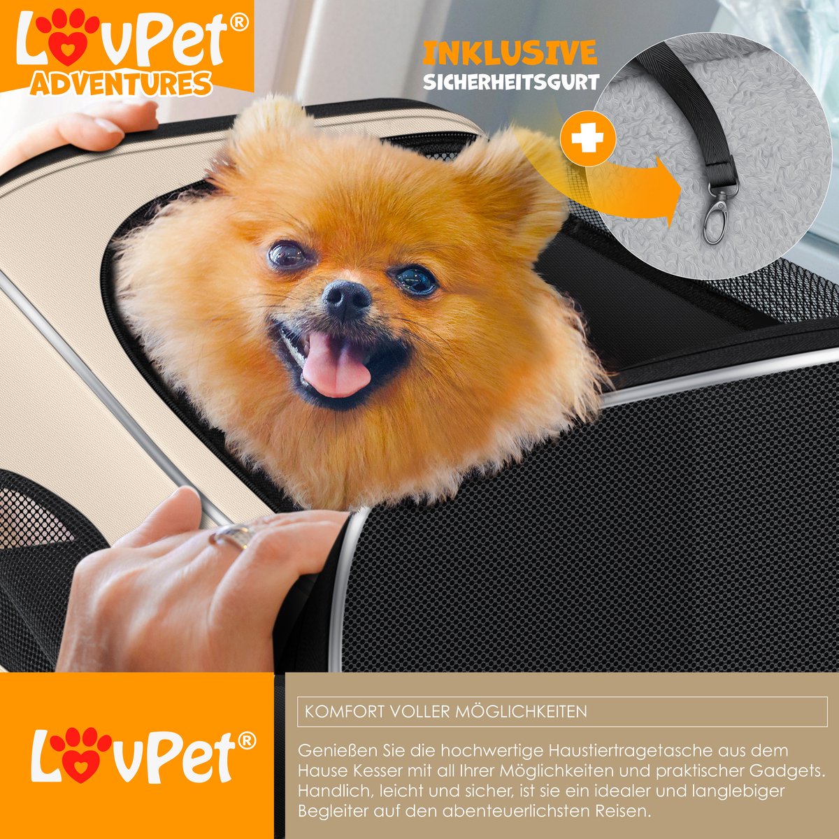 Lovpet® Caisse pour Chien Caisse de Transport pour Chien Pliable avec  écuelle Sac de Transport Sac de Transport Caisse de Transport pour Animaux