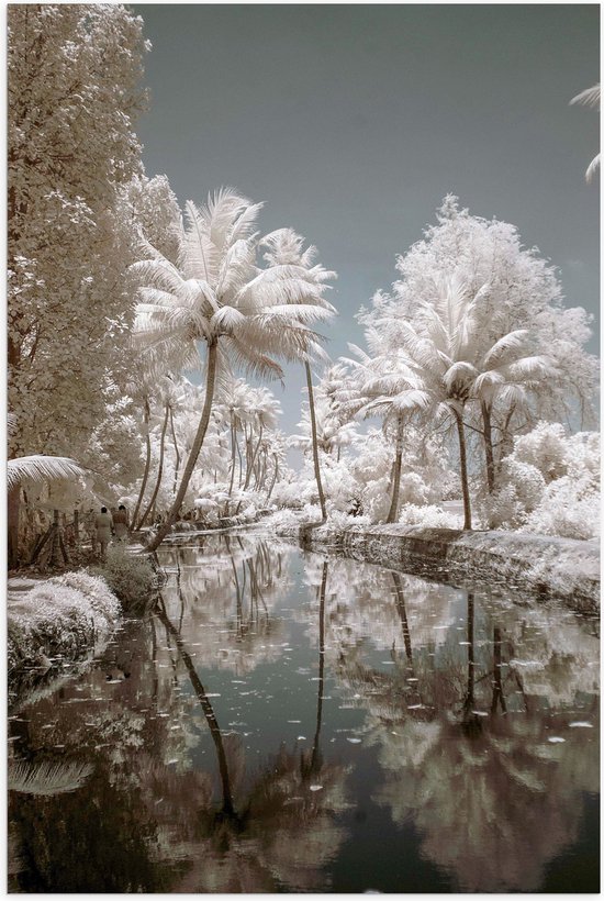 Poster (Mat) - Water - Bomen -Bossen - Palmbomen - Tropisch - Wit - 70x105 cm Foto op Posterpapier met een Matte look