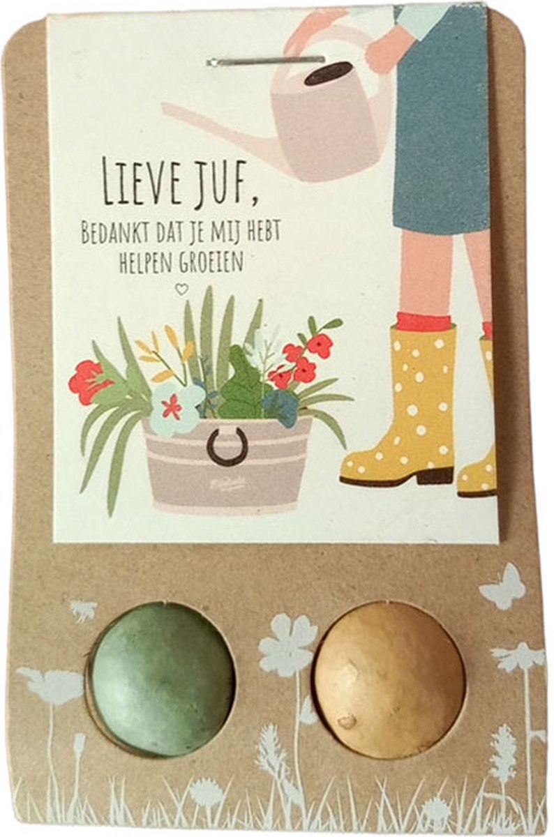 Floz Design bedankje juf - groen cadeau juf - zaadbommetjes