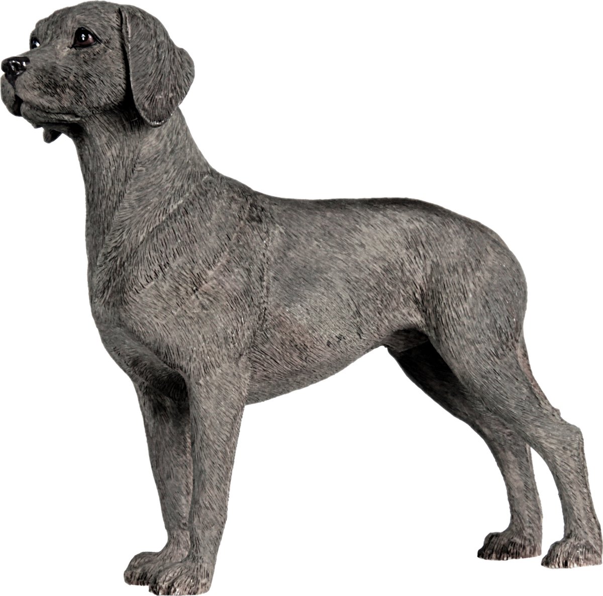 Hondenbeeldje Weimeraner, hondenbeeldje, figuur Weimeraner