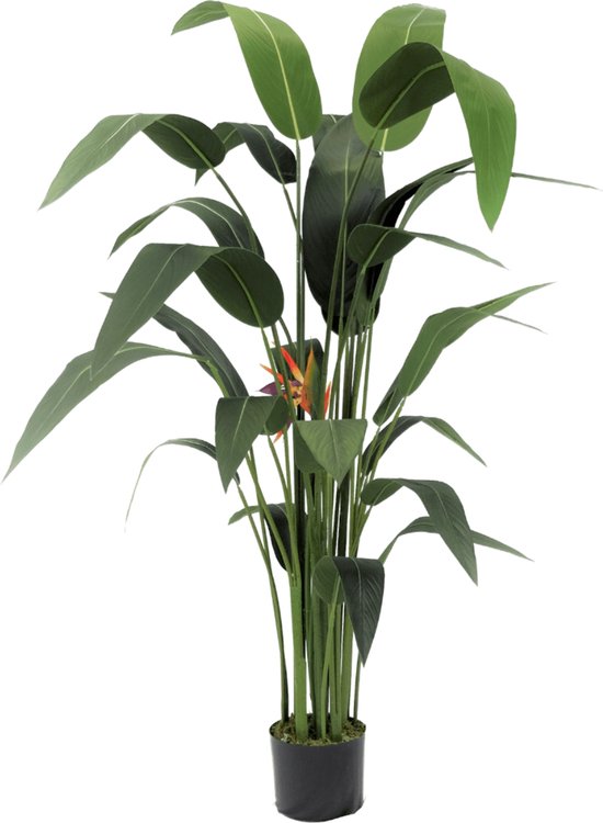 Plante artificielle Strelitzia 160 cm | Art Strelitzia avec Bloem | Art Strelitzia | Plantes artificielles pour l'intérieur