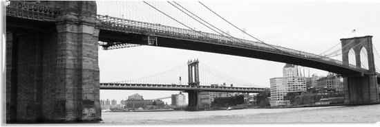 Acrylglas - Grote Brug over het Water (Zwart-wit) - 60x20 cm Foto op Acrylglas (Wanddecoratie op Acrylaat)