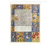 Ancient Illumination- Spinola Hours (Ancient Illumination) Midi Unlined Softcover Flexi Journal