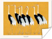 Poster Vogels - Dieren - Zwart - Wit - Geel - 160x120 cm XXL