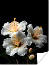Affiche Fleurs - Wit - Hibiscus - Nature - Zwart - 120x160 cm XXL
