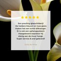 Product afbeelding  7