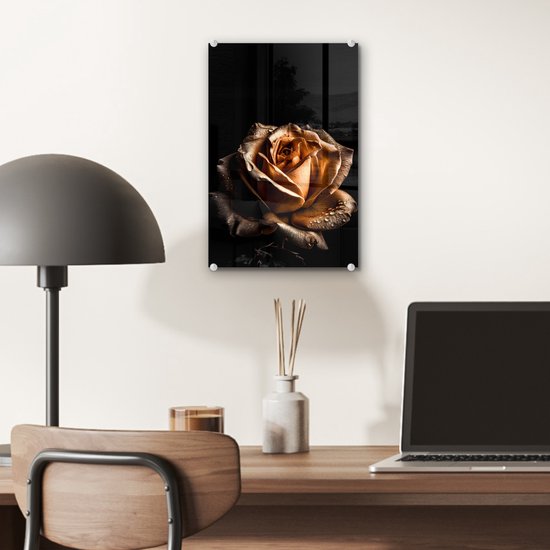 MuchoWow® Peinture sur verre - Rose - Or - Fleurs - Botanique Zwart - 20x30 cm - Peintures sur verre acrylique - Photo sur Glas