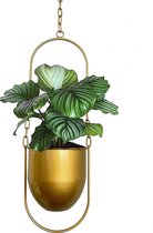 Hangende plantenbak, metalen plantenbeugel, bloemenhanger, modern, hangende plantenbakken voor binnenplanten, boho, moderne plantenhanger, minimalistische wooncultuur (goud)