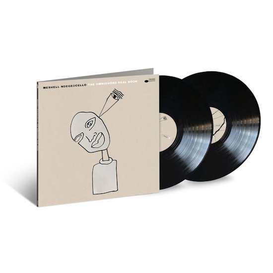 洋楽 meshell NdegeOcello LP Meshell Ndegeocello 