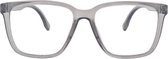 Ear2Ear 21710 Leesbril Newton - sterkte +1.00 - transparant grijs