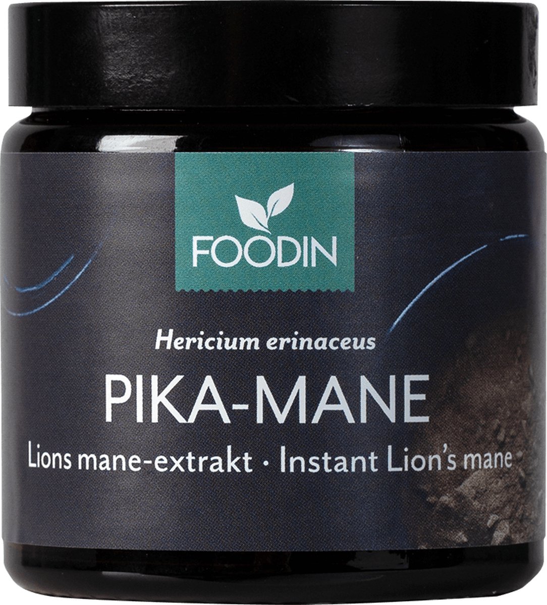 Goedkoopste Pruikzwam Lion’s Mane Extract - Foodin