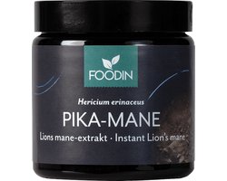 Pruikzwam Lion’s Mane Extract-Foodin