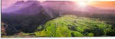 Dibond - Uitzicht over de Rijstvelden in het Indonesische Landschap - 90x30 cm Foto op Aluminium (Wanddecoratie van metaal)
