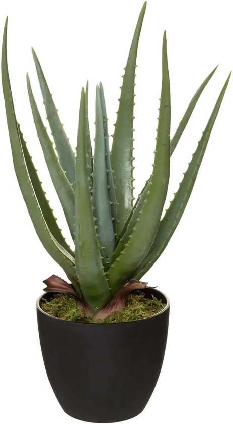 Plante artificielle Atmosphera Aloe vera en pot ciment 42 cm - Plantes artificielles