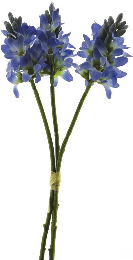 Hyacinten bundel x3 blauw 30cm