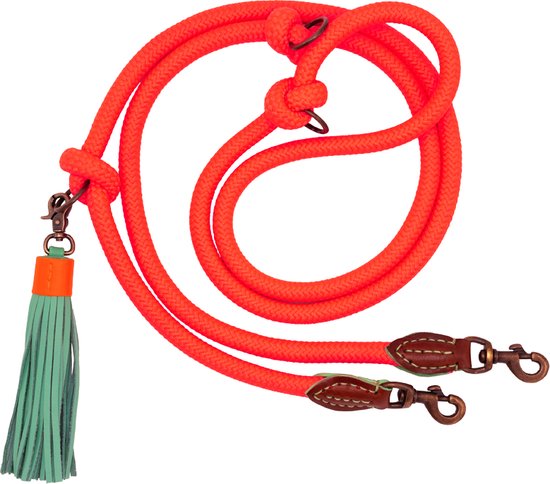 DWAM Dog with a Mission Dog Leash – Riem pour chiens – Oranje – Polyester/ Cuir – L – 220 x 1,4 cm – Gâteau aux carottes Extra long
