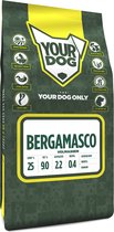 Yourdog Bergamasco Rasspecifiek Adult Hondenvoer 6kg | Hondenbrokken