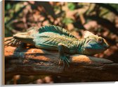 Hout - Blauw-Groene Kameleon Liggend op Houten Boomstam - 100x75 cm - 9 mm dik - Foto op Hout (Met Ophangsysteem)